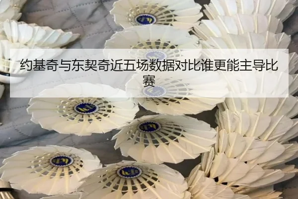 约基奇与东契奇近五场数据对比谁更能主导比赛